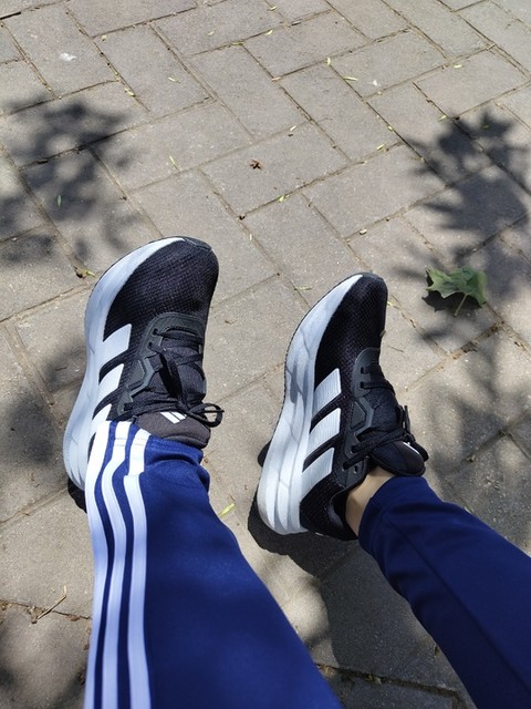 adidas Tiro 25 Essentials Training Pants - White | Free Shipping