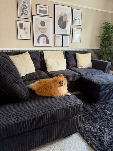 𝑺𝒆𝒑𝒕𝒆𝒎𝒃𝒆𝒓..✨
Another month has blew by, it’s been full of cosy days, recovering from surgery, autumnal decor out, beautiful home cooked meals, summer skies & family time.
Our beautiful new sofa arrived from dfs and were obsessed, not the best timing with little Miss Bambi full on moulting everywhere but she loves it too☺️ Roll on spooky season!🤎
.
.
.
.
#september #family #loveislove #pomeranianstagram #wifeandwife