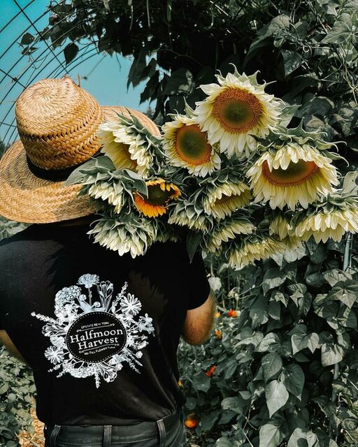 CottoVer® Unisex-T-Shirt mit vollflächigem Druck auf Vorder- und Rückseite